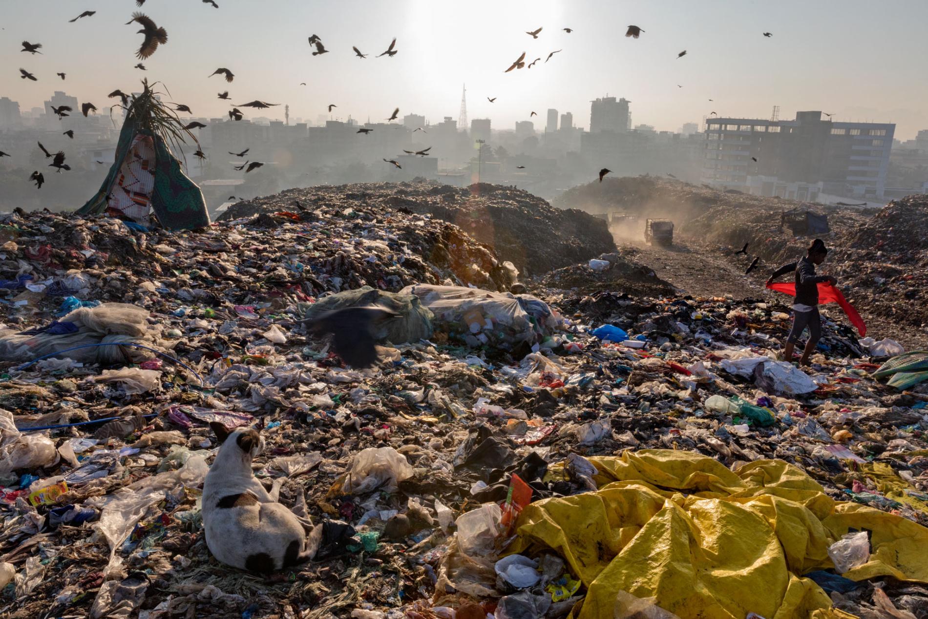 Should We Stop Using Single-Use Plastic Bag?