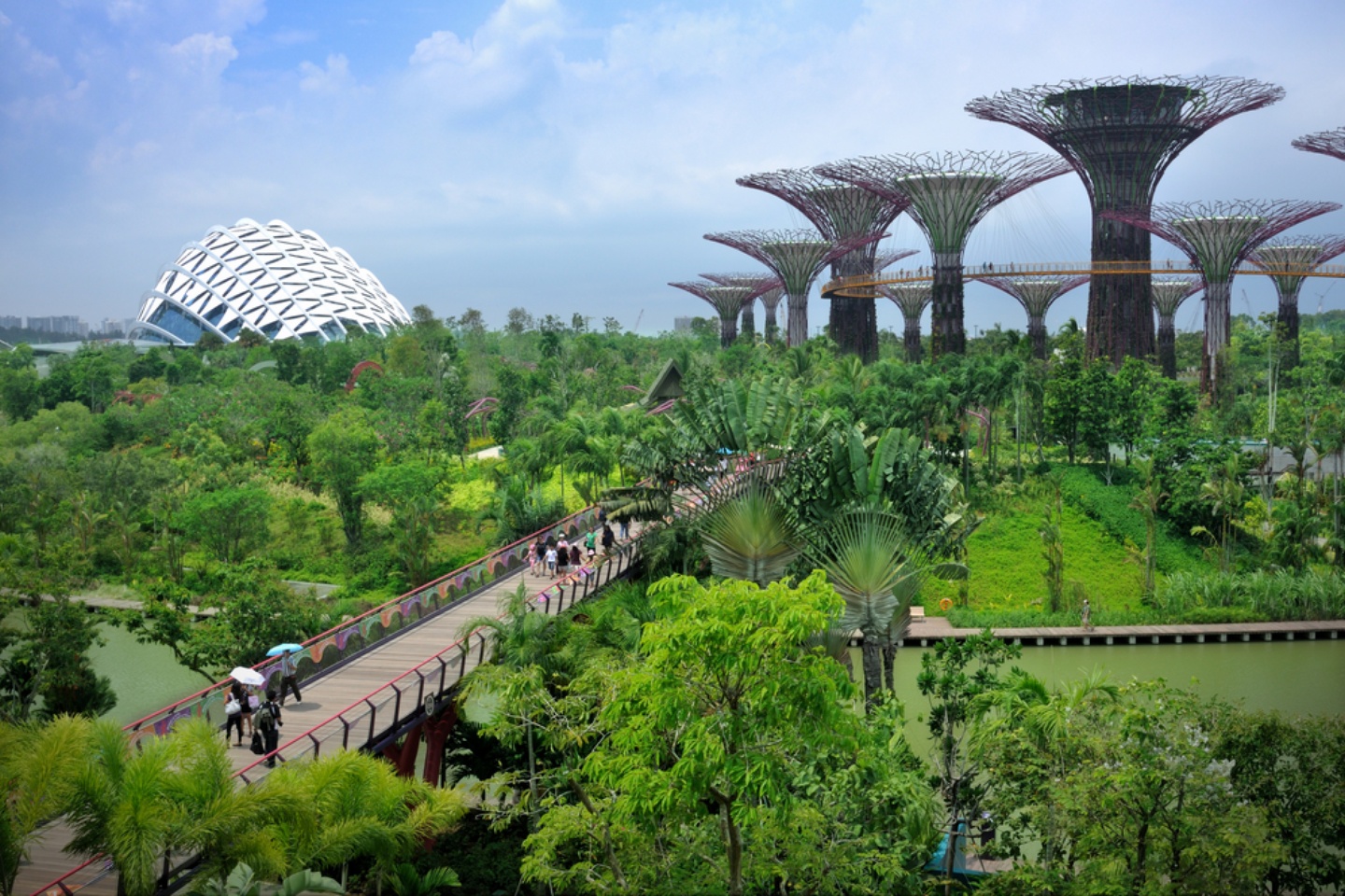 Benefits between a biophilic city and humans — (Part 3: Economic benefits)